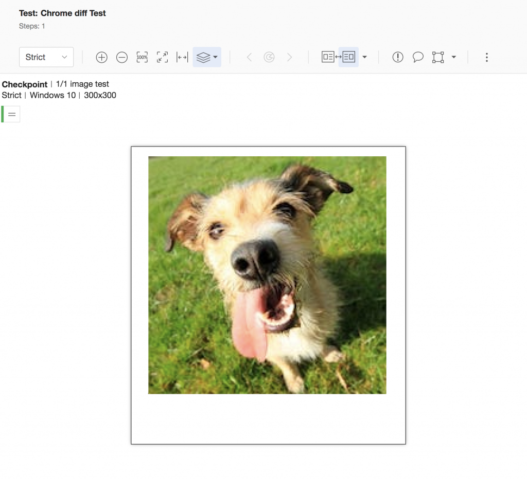 Applitools eyes strict mode output