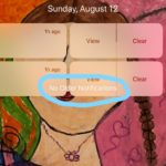 Apple iOS home screen visual bug