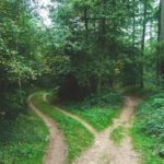 Many paths